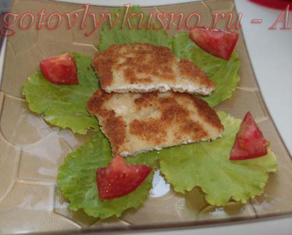 Otbivnaya_iz_kuricii_v_suharyah